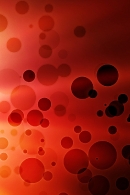 Amazing_Colorful_Wallpapers_www.laba.ws