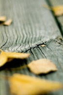 Best_Premium_HD_www.laba.ws