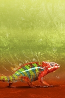 Best_Premium_HD_www.laba.ws